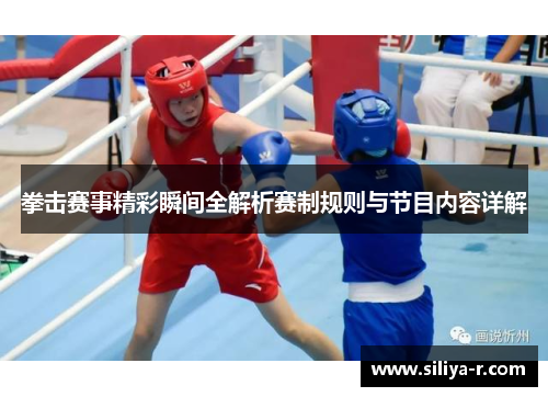 拳击赛事精彩瞬间全解析赛制规则与节目内容详解
