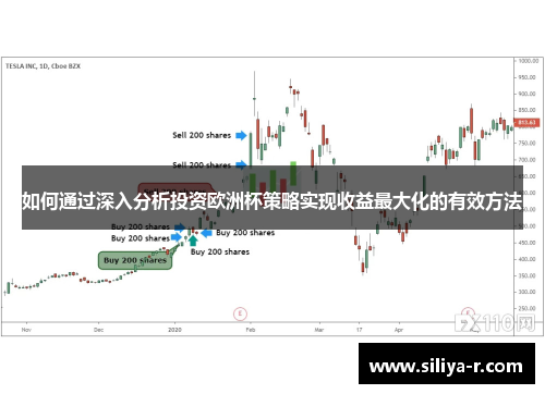 如何通过深入分析投资欧洲杯策略实现收益最大化的有效方法