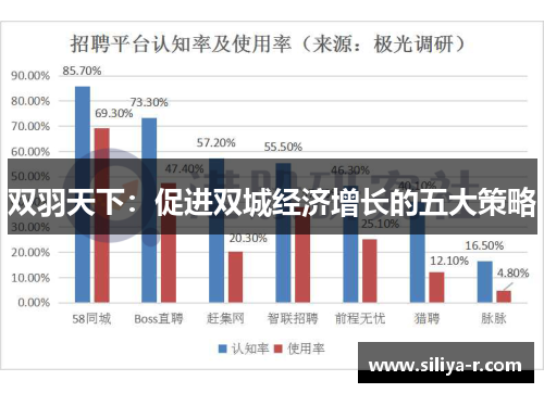 双羽天下：促进双城经济增长的五大策略