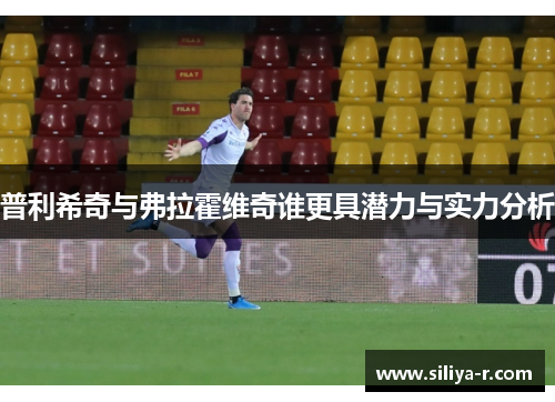 普利希奇与弗拉霍维奇谁更具潜力与实力分析