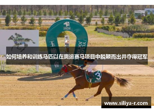 如何培养和训练马匹以在奥运赛马项目中脱颖而出并夺得冠军