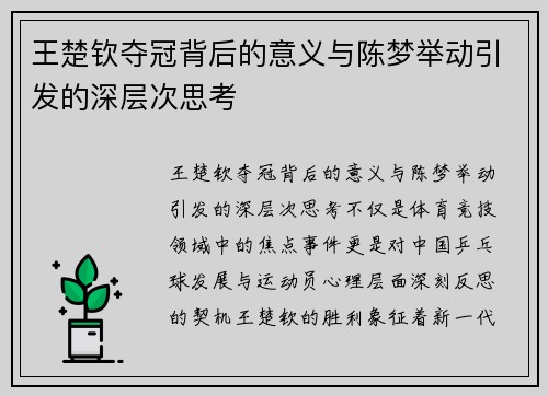 王楚钦夺冠背后的意义与陈梦举动引发的深层次思考