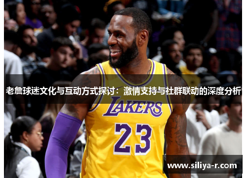 老詹球迷文化与互动方式探讨：激情支持与社群联动的深度分析