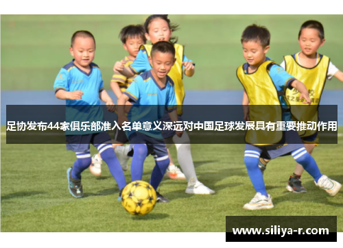 足协发布44家俱乐部准入名单意义深远对中国足球发展具有重要推动作用