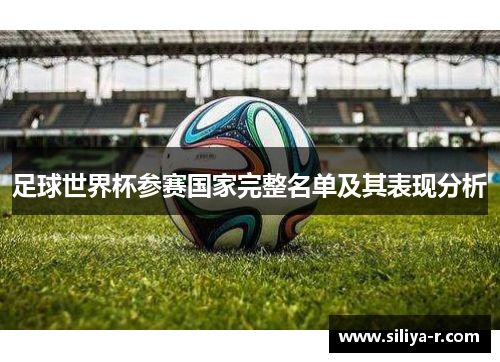 足球世界杯参赛国家完整名单及其表现分析
