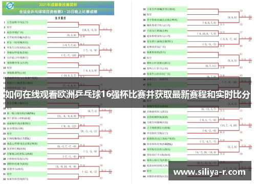如何在线观看欧洲乒乓球16强杯比赛并获取最新赛程和实时比分